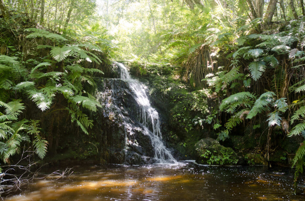 Knysna, Garden Route, South Africa