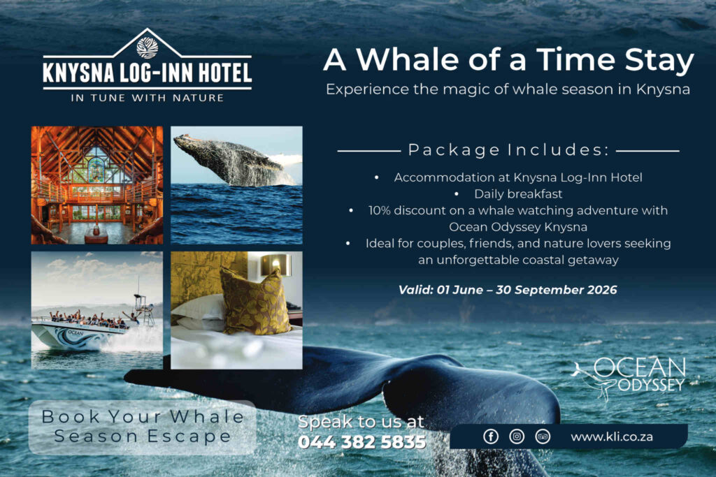 A Whale of a Time Stay